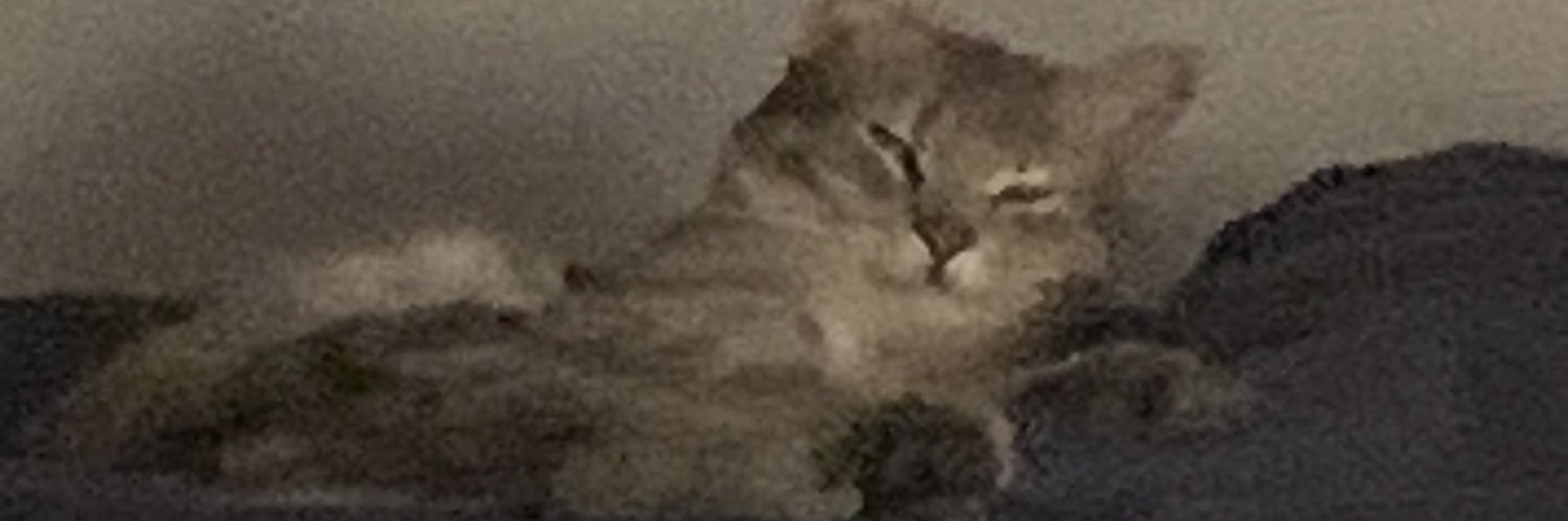 ffacucrosetto's profile banner image