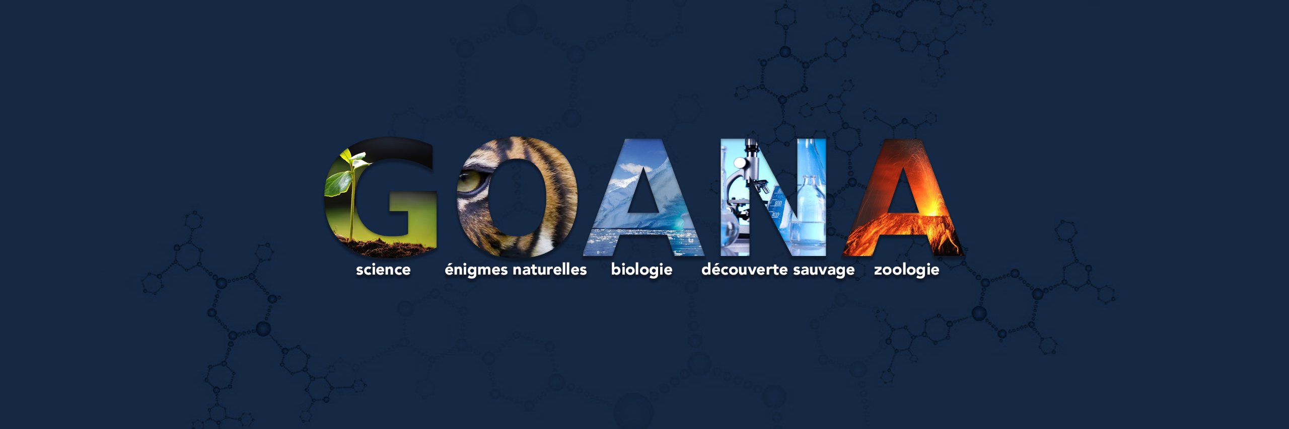Goana_Tom's profile banner image