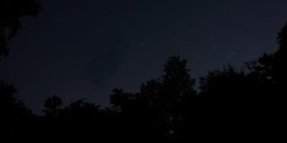 BigBearOne's profile banner image