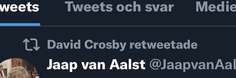 Jaap van Aalst banner