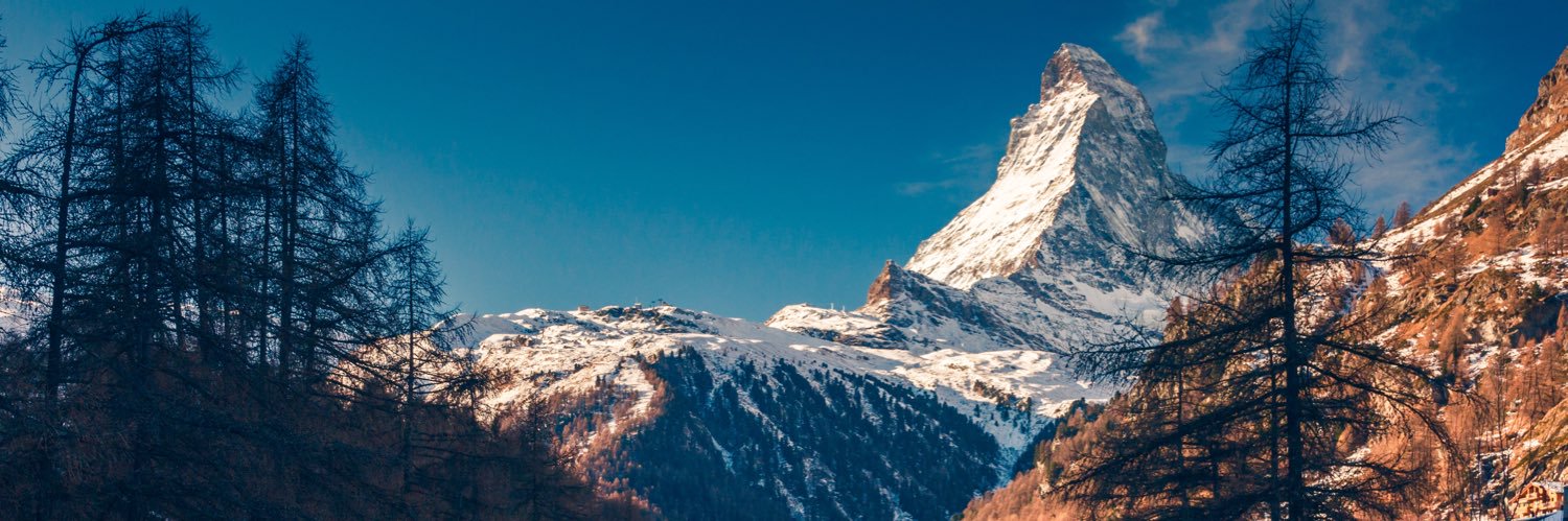 chewwingum's profile banner image