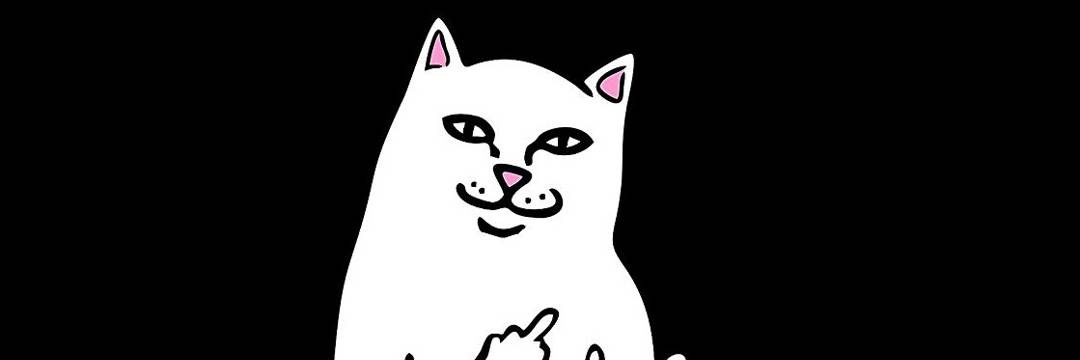 RioADT's profile banner image