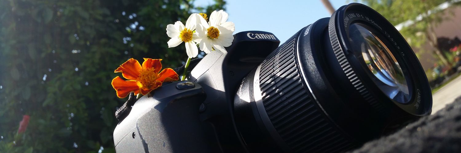 Zekee0427's profile banner image