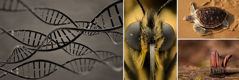 EPFLbioinspired's profile banner image