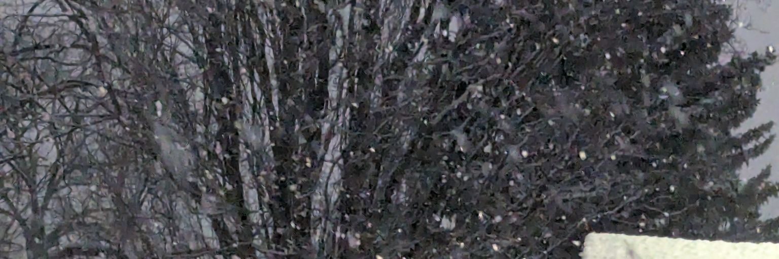 Sara 🇨🇦 ❄👑 banner