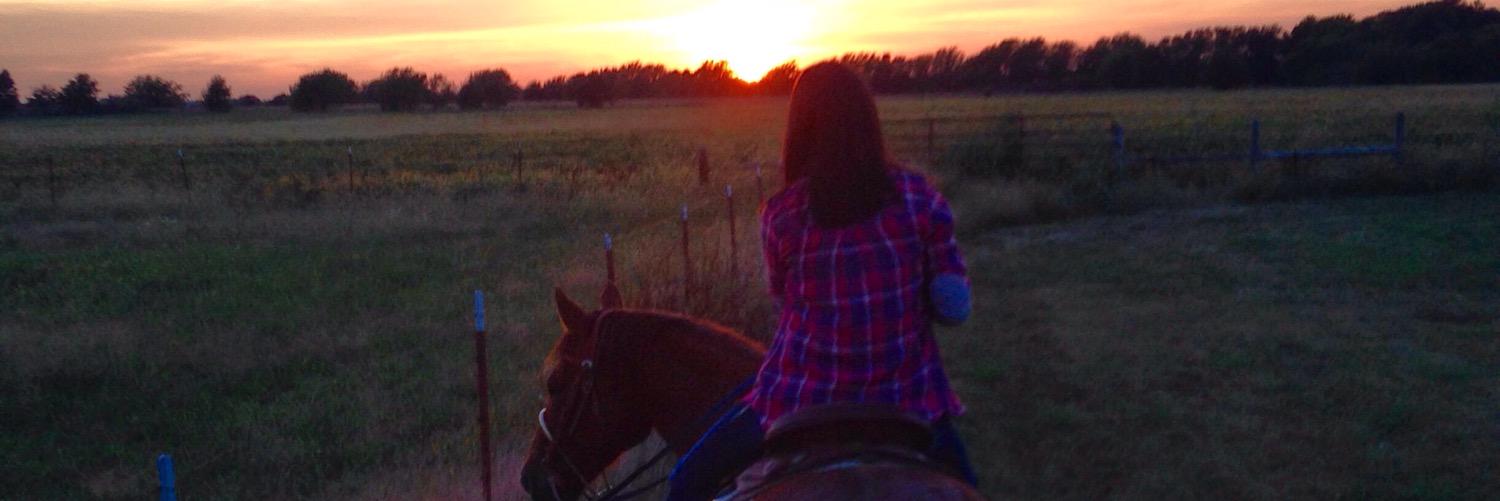 Kylah_Schaefer's profile banner image