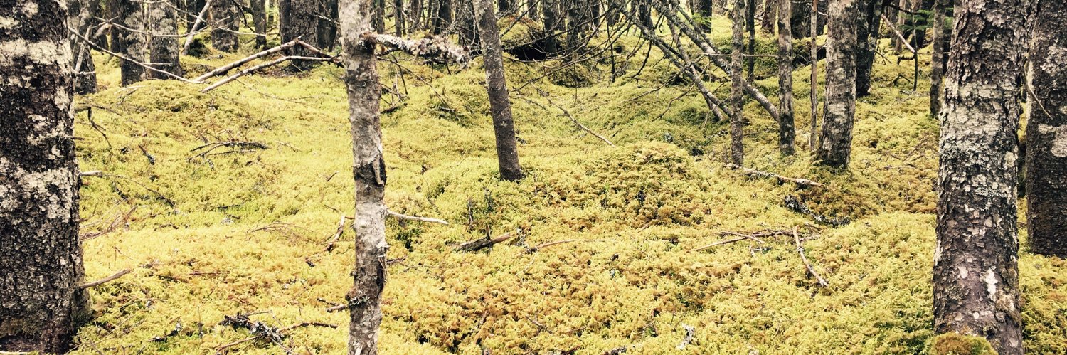 Melanie Adams-Cioaba banner