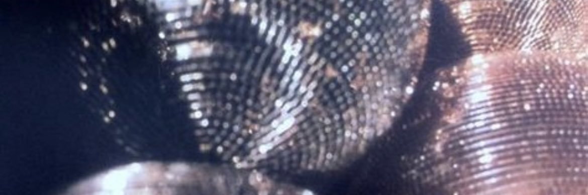 LilyThaler's profile banner image