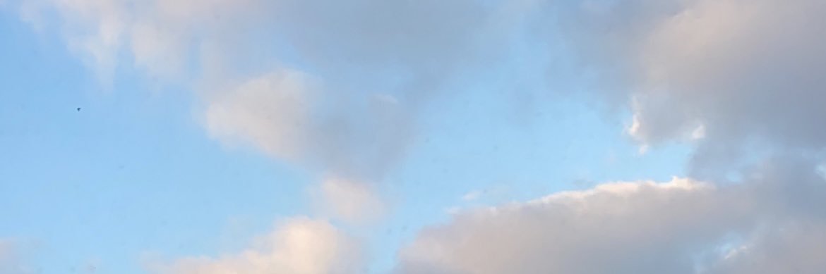 almzruei's profile banner image