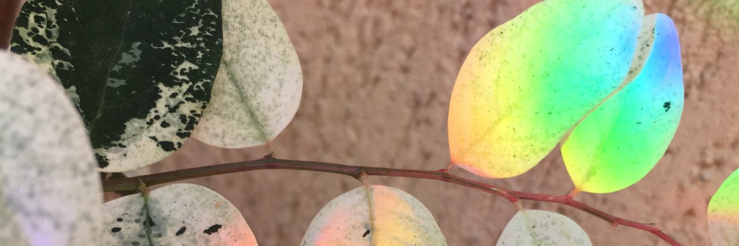 Nata_optics's profile banner image