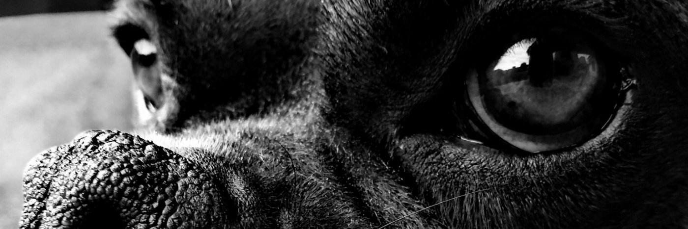 MaxiMonroy's profile banner image