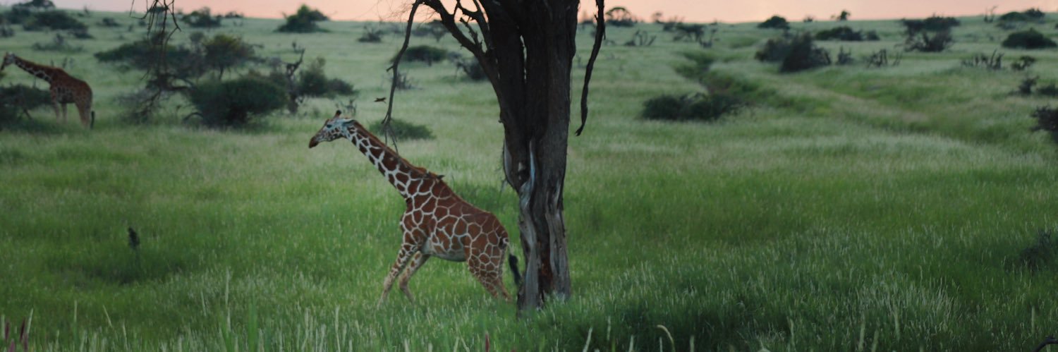 emmacuga's profile banner image