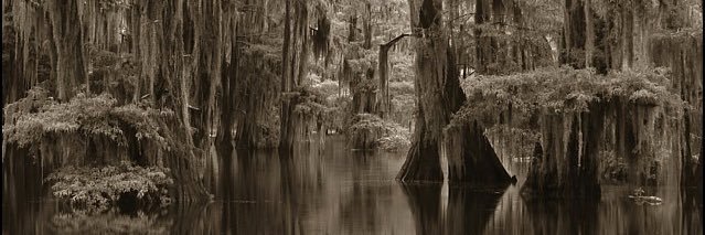 LanceGuidry's profile banner image
