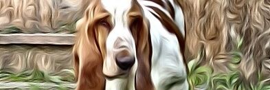 daz190's profile banner image