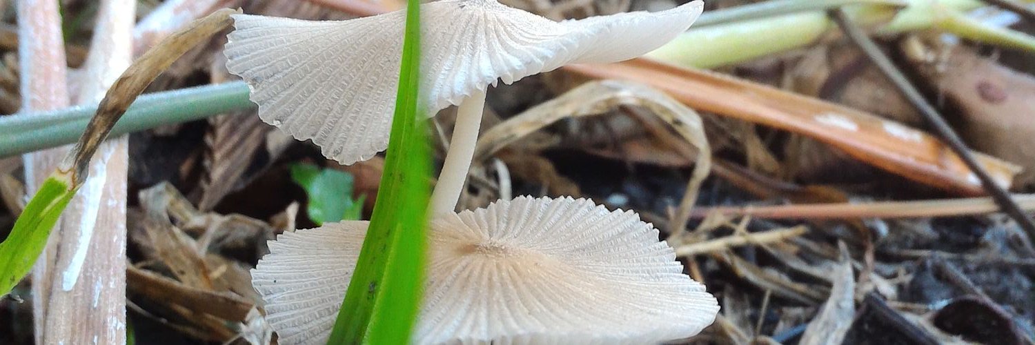 Arizal Akbar Zikri banner