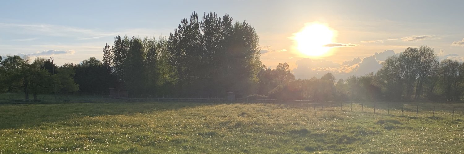 lou_ptt's profile banner image