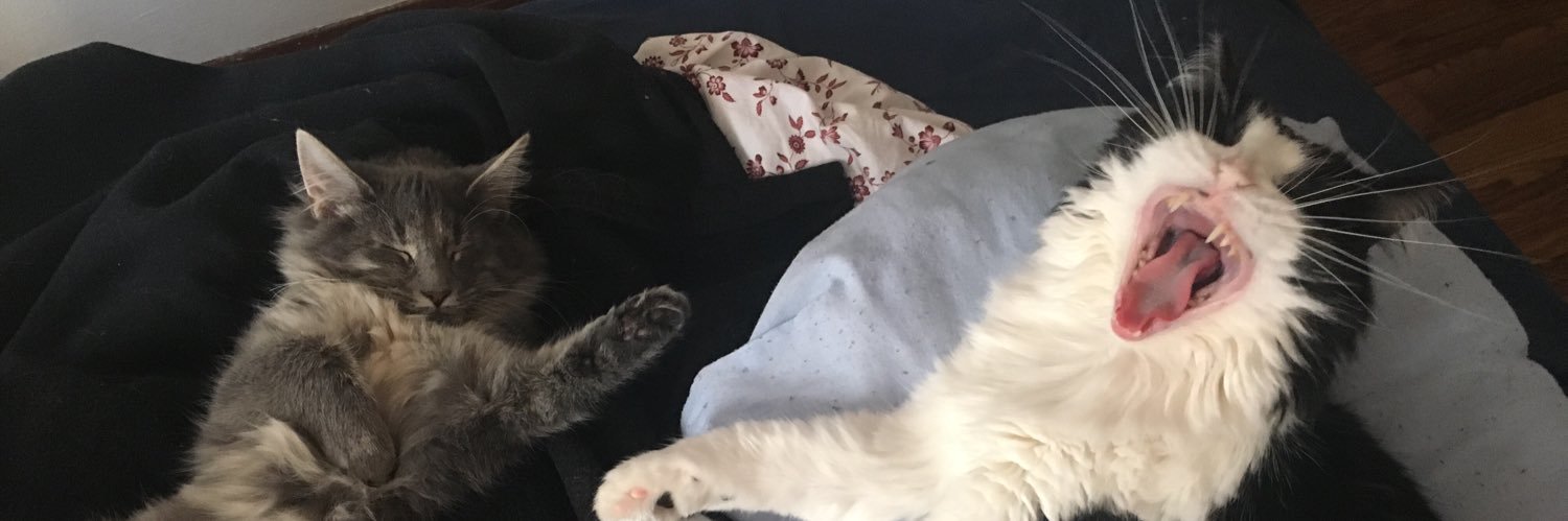 Madelyn Marie banner