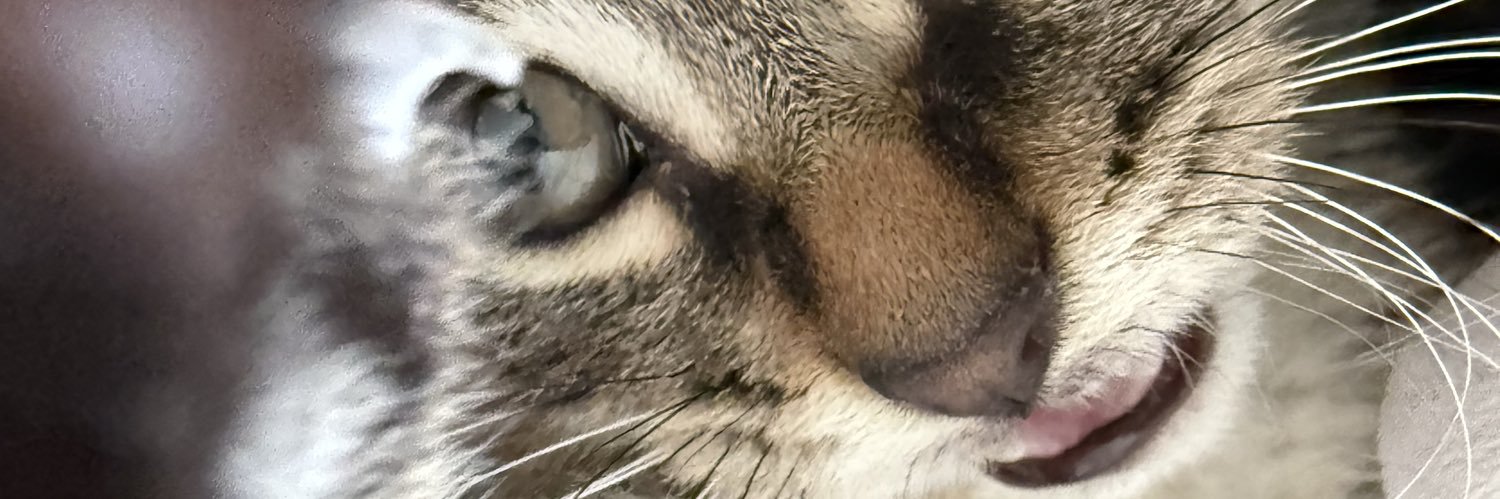 Kazeynmaa's profile banner image