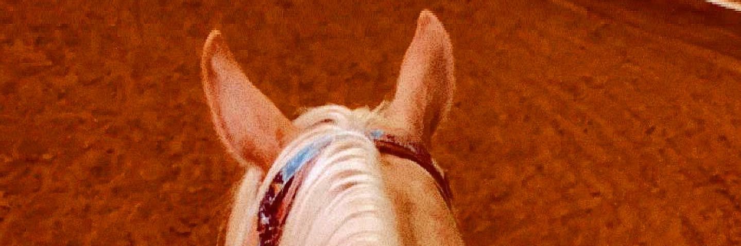 GravesNora's profile banner image