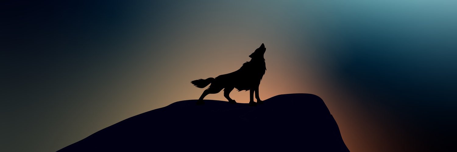 WulfinAround's profile banner image