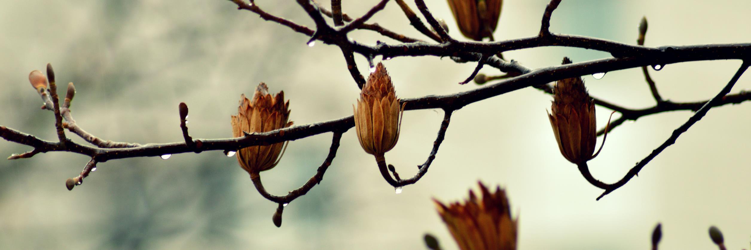 lensliebe's profile banner image