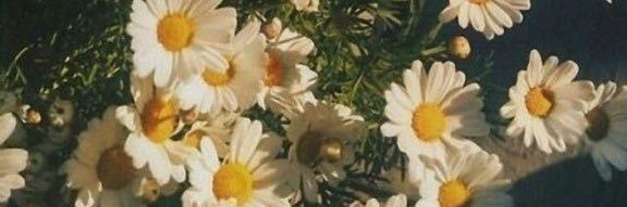 lois_bx's profile banner image