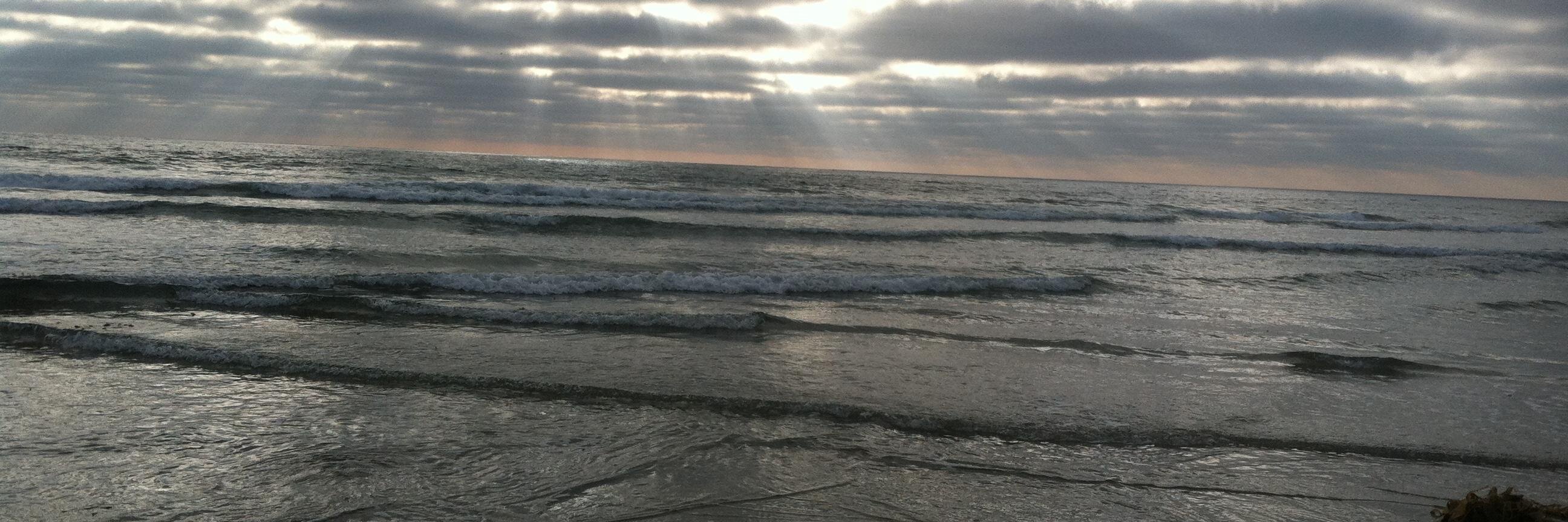 Alan Schneider banner