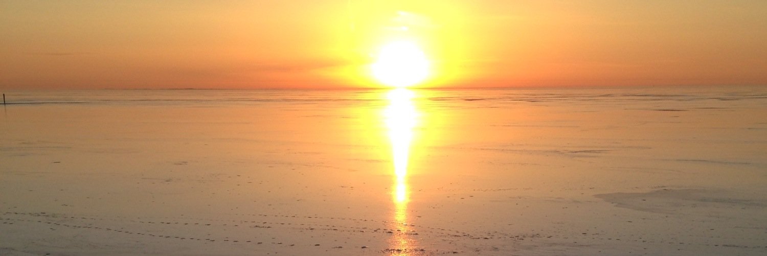 michellesuede's profile banner image