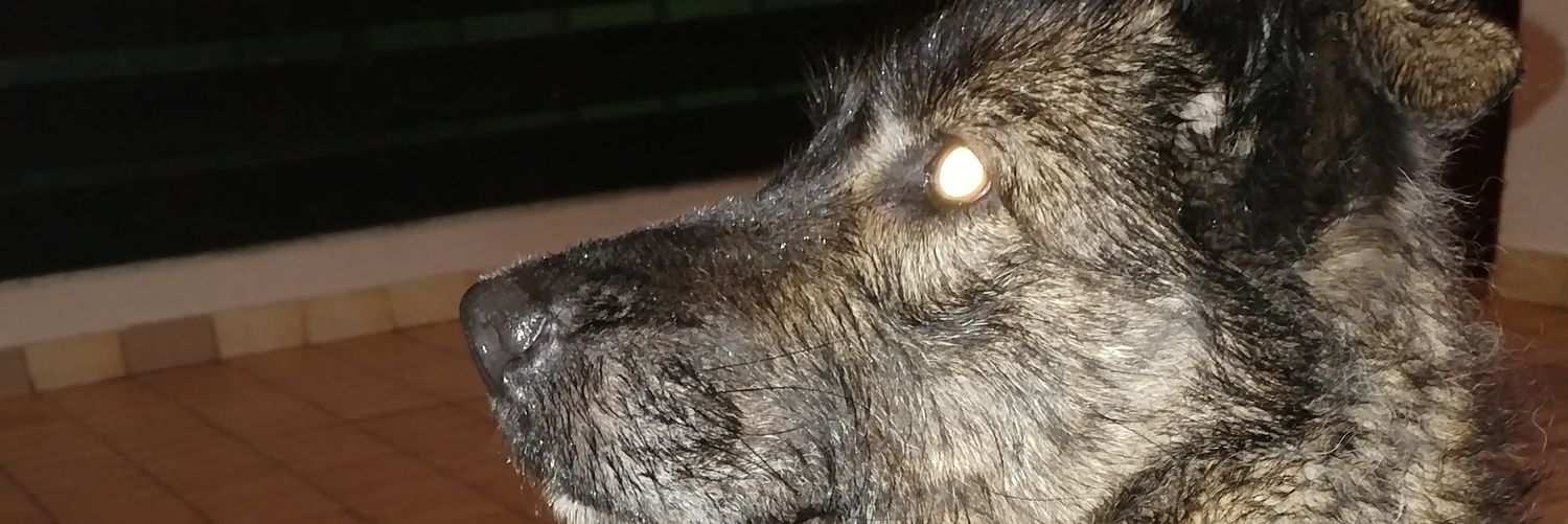 IIonito's profile banner image