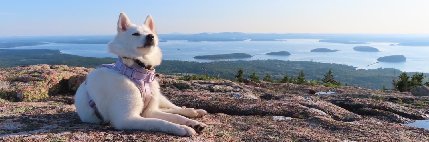 Jared Severino banner