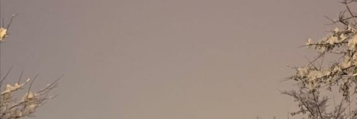 LarMoral's profile banner image