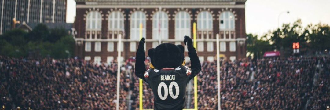 taylipinsky's profile banner image