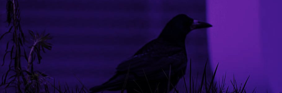 arcensky_'s profile banner image