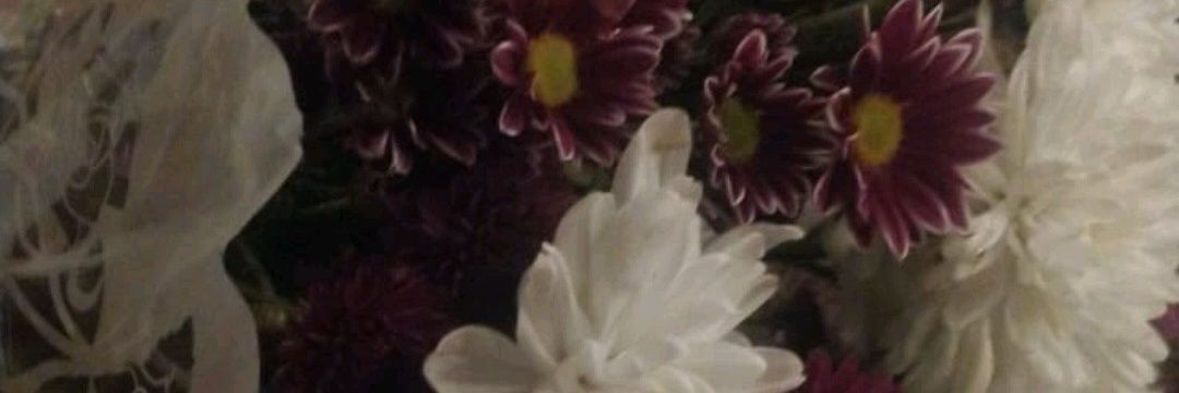 sssofip's profile banner image