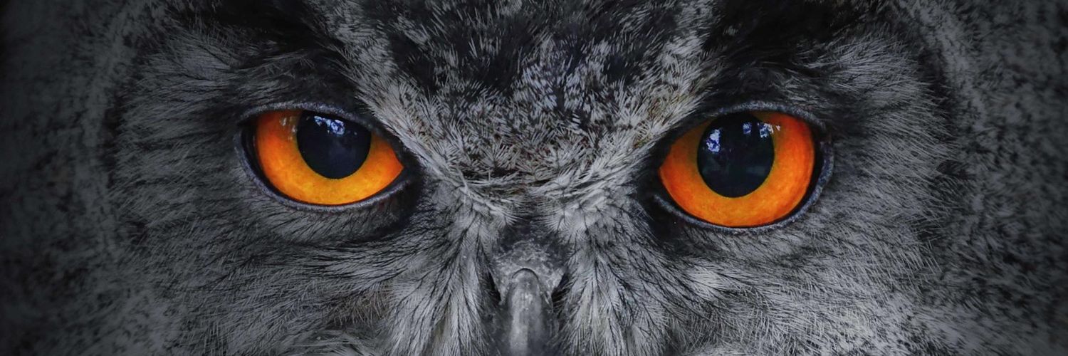R_DesParto's profile banner image