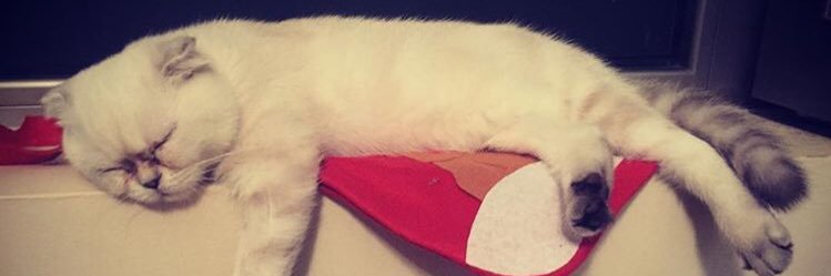 T E S S A banner