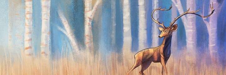 jereztati's profile banner image