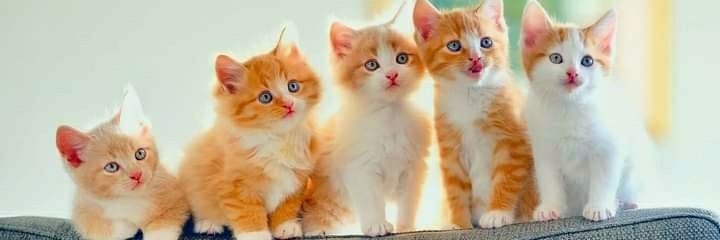 Tity_Beoby's profile banner image