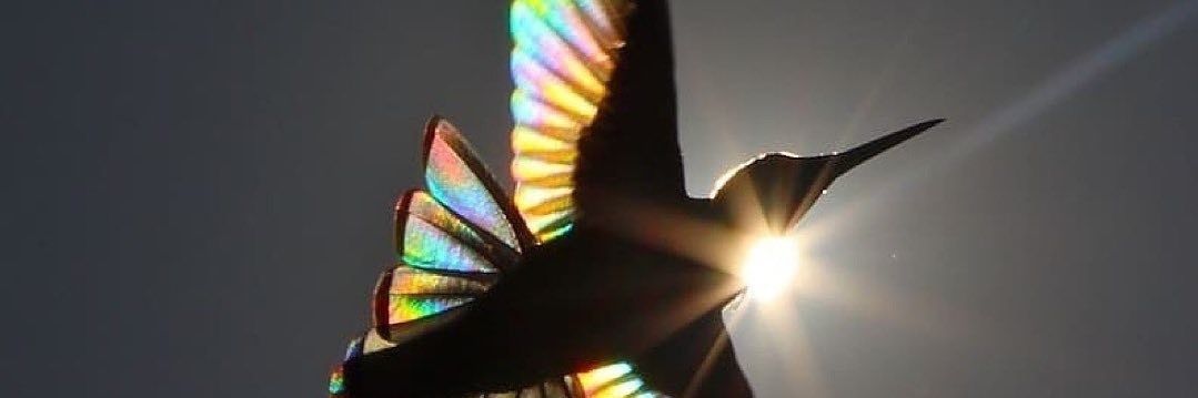 CryptomETHeus_'s profile banner image