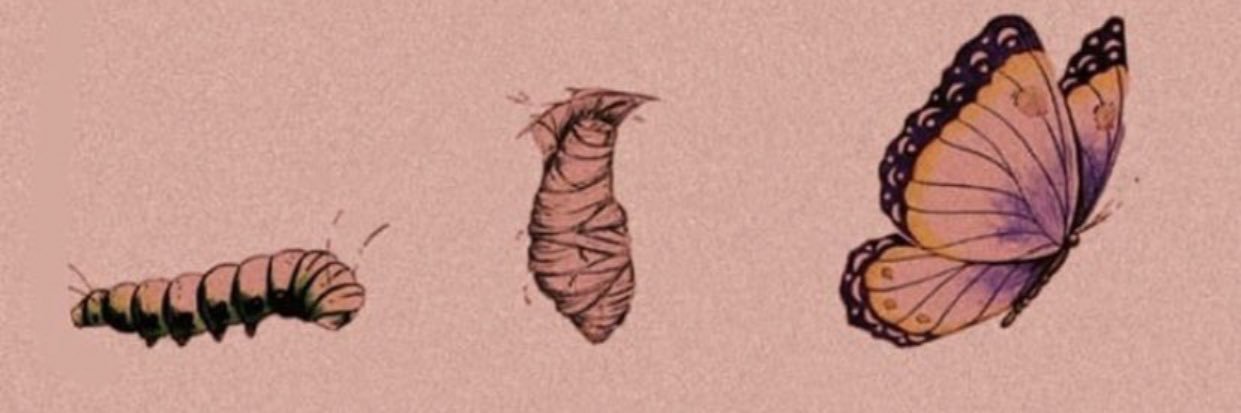 daisyortiz95's profile banner image