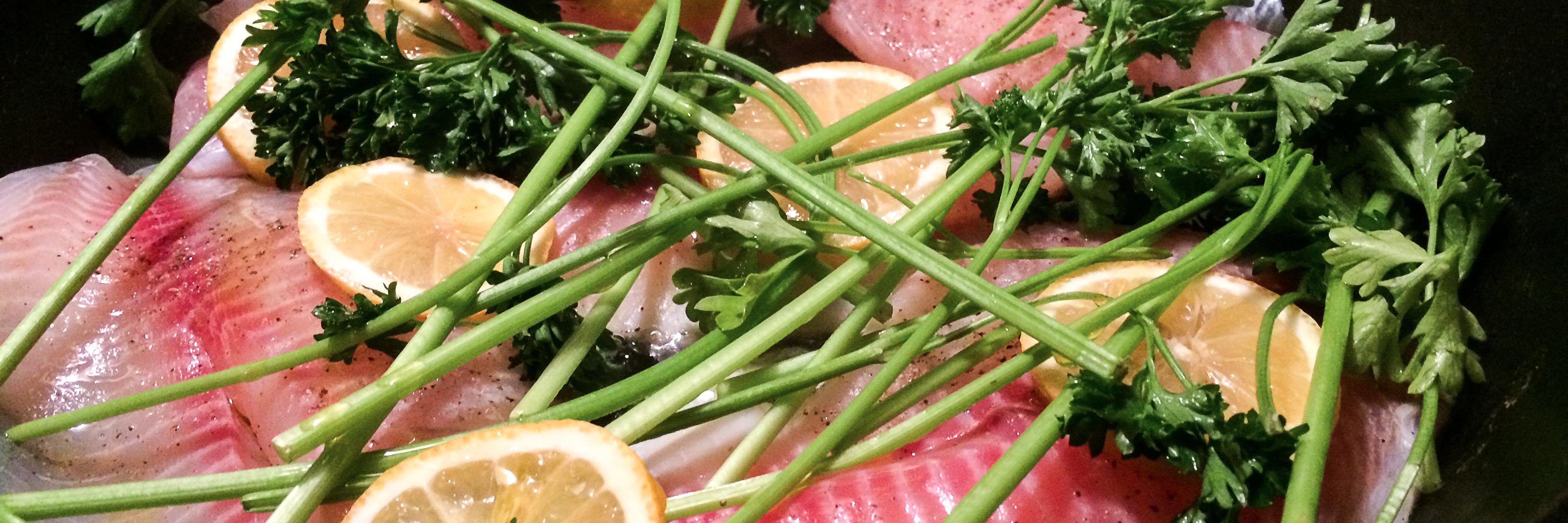 wtfrittata's profile banner image