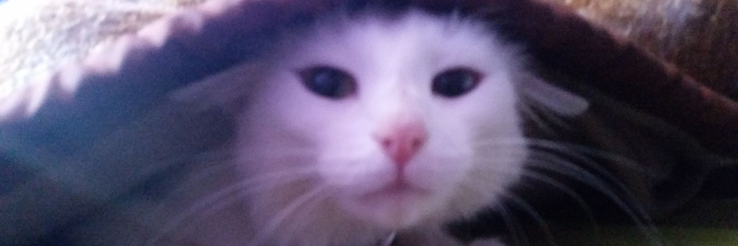 Diegolabrin2's profile banner image