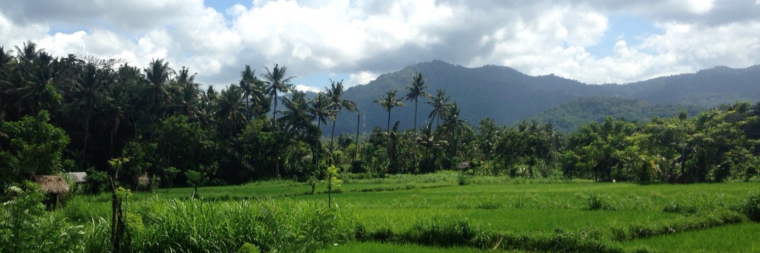 Tomfozzy's profile banner image