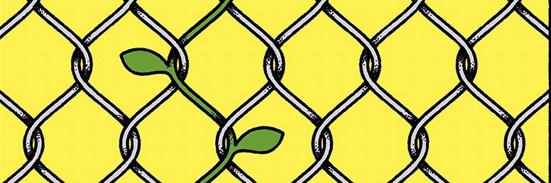 addie_tausch's profile banner image