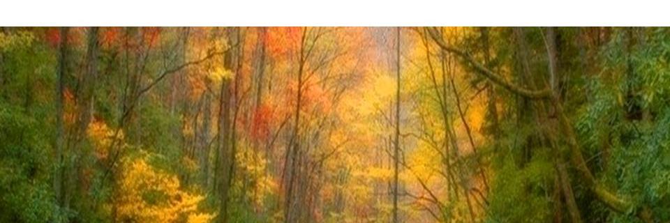 KindnessRocks banner