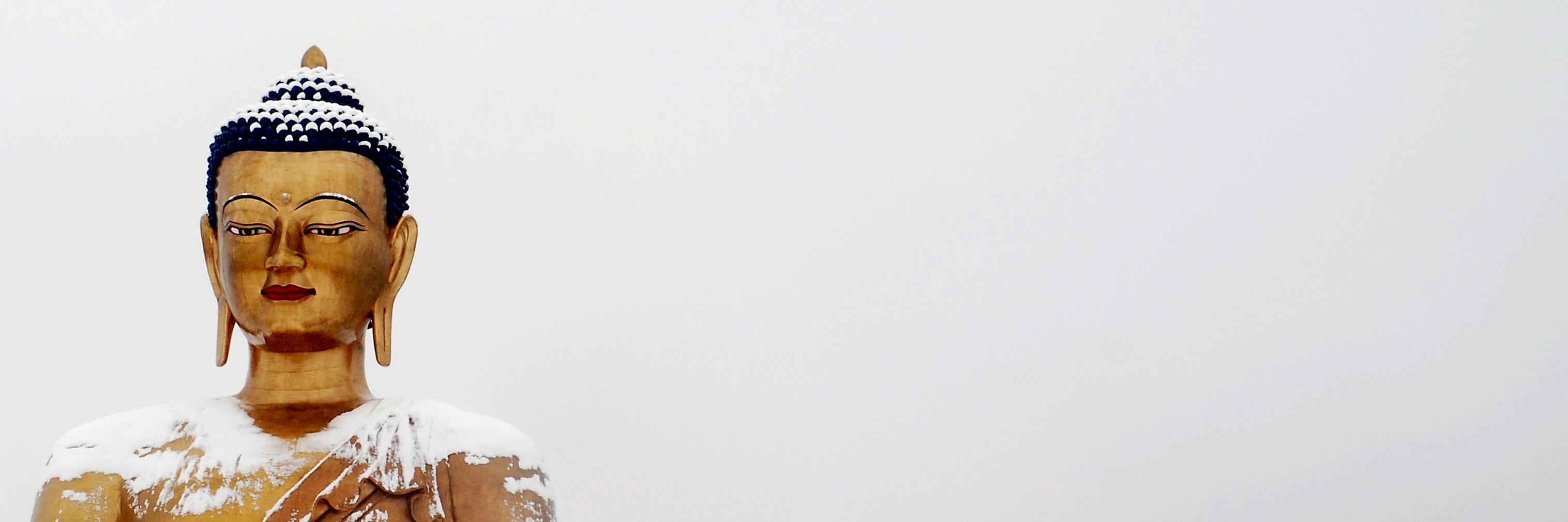 finsok333's profile banner image