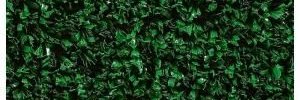 whatsnextmimi's profile banner image
