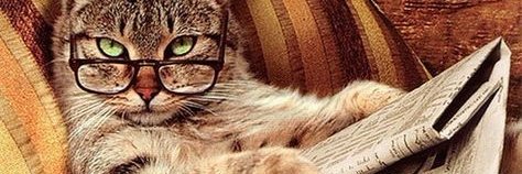 ClaudLeray's profile banner image