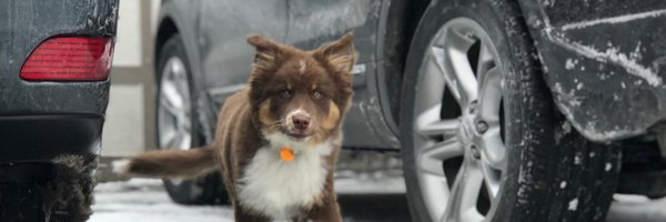 BaileyRiley58 Profile Banner