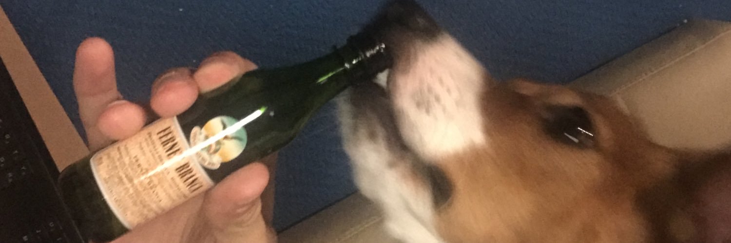 agusleis_'s profile banner image